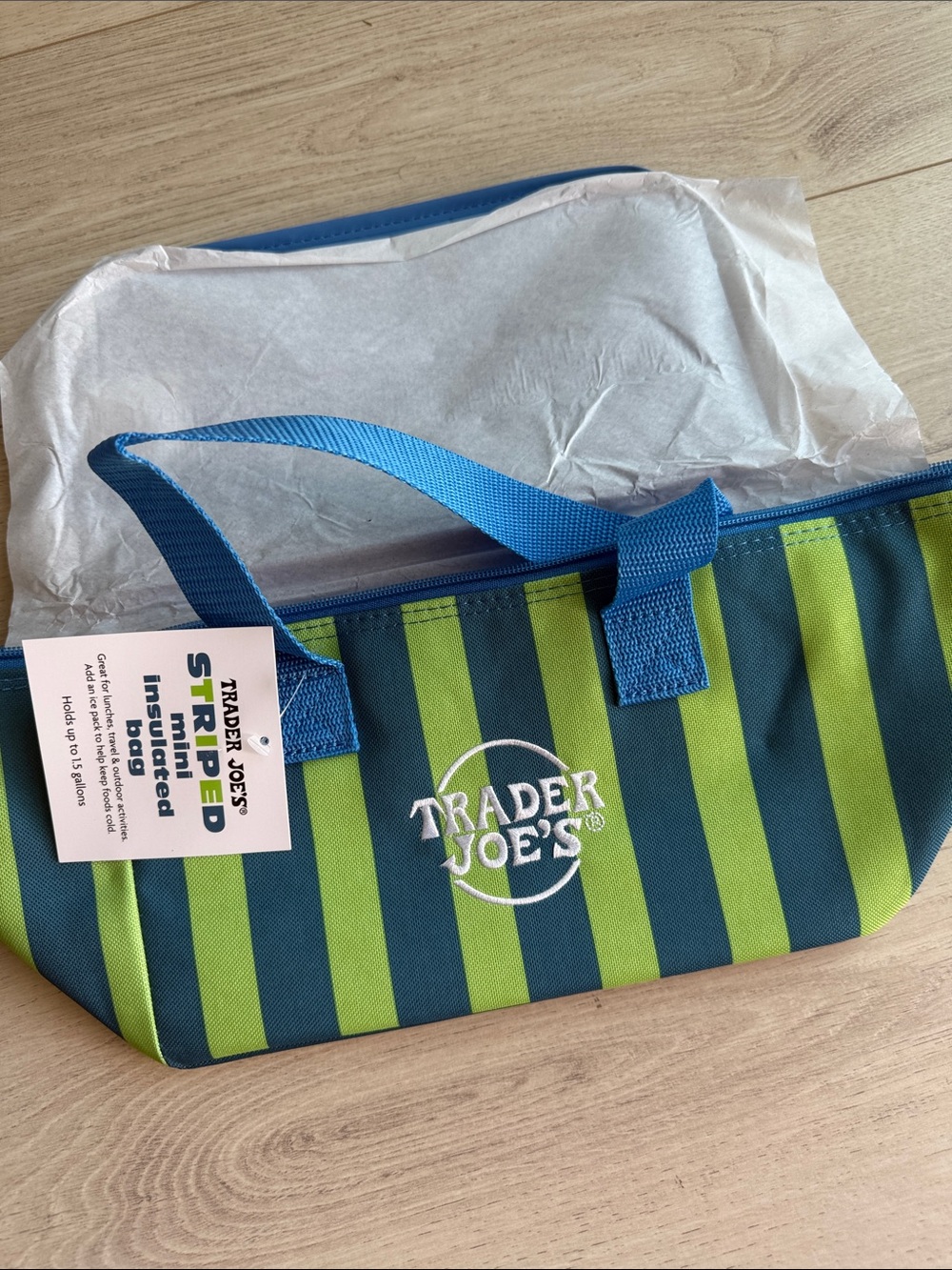 Trader Joe's Striped Insulated Tote Bag in Blue & Lime